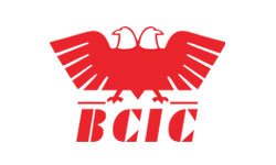 BCIC